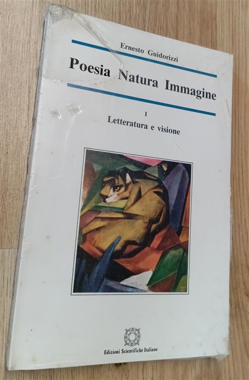 Poesie, Natura, Immagine. Vol 1: Letteratura E Visione