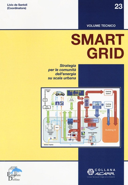 Smart Grid. Strategia Per Le Comunita Dell'energia Su Scala Urbana