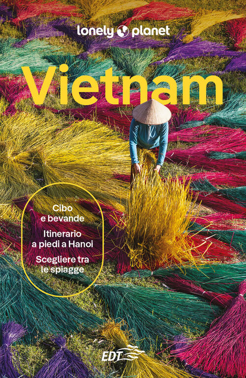 Vietnam Lonely Planet Italia 2025