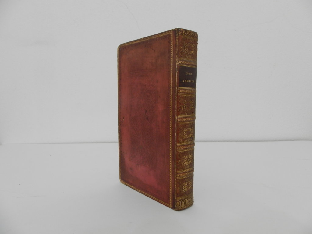 A description of more than three hundred animals. Interspersed with …