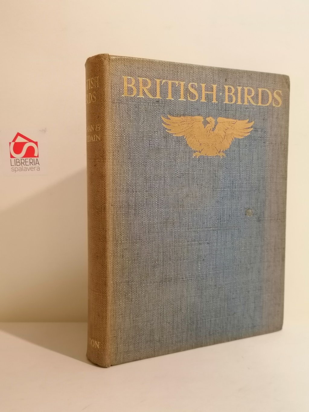 British birds