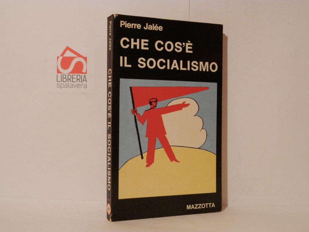 Che cos'è il socialismo