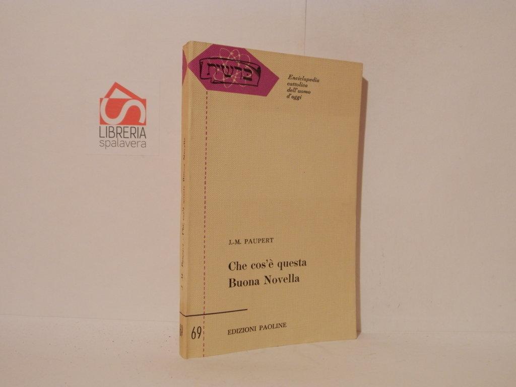 Che cos'è questa Buona Novella. Saggio sul Vangelo