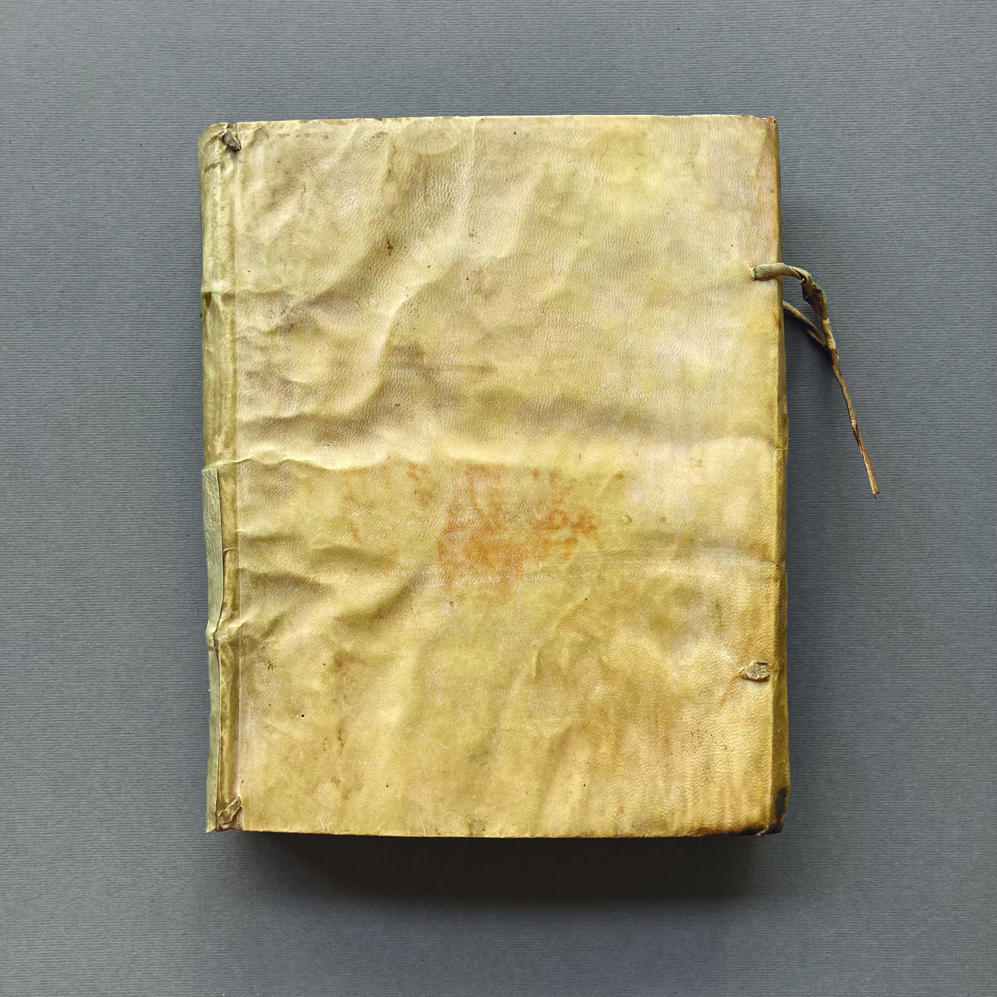 De Vita et rebus gestis Caroli S. R. E. Cardinalis, …