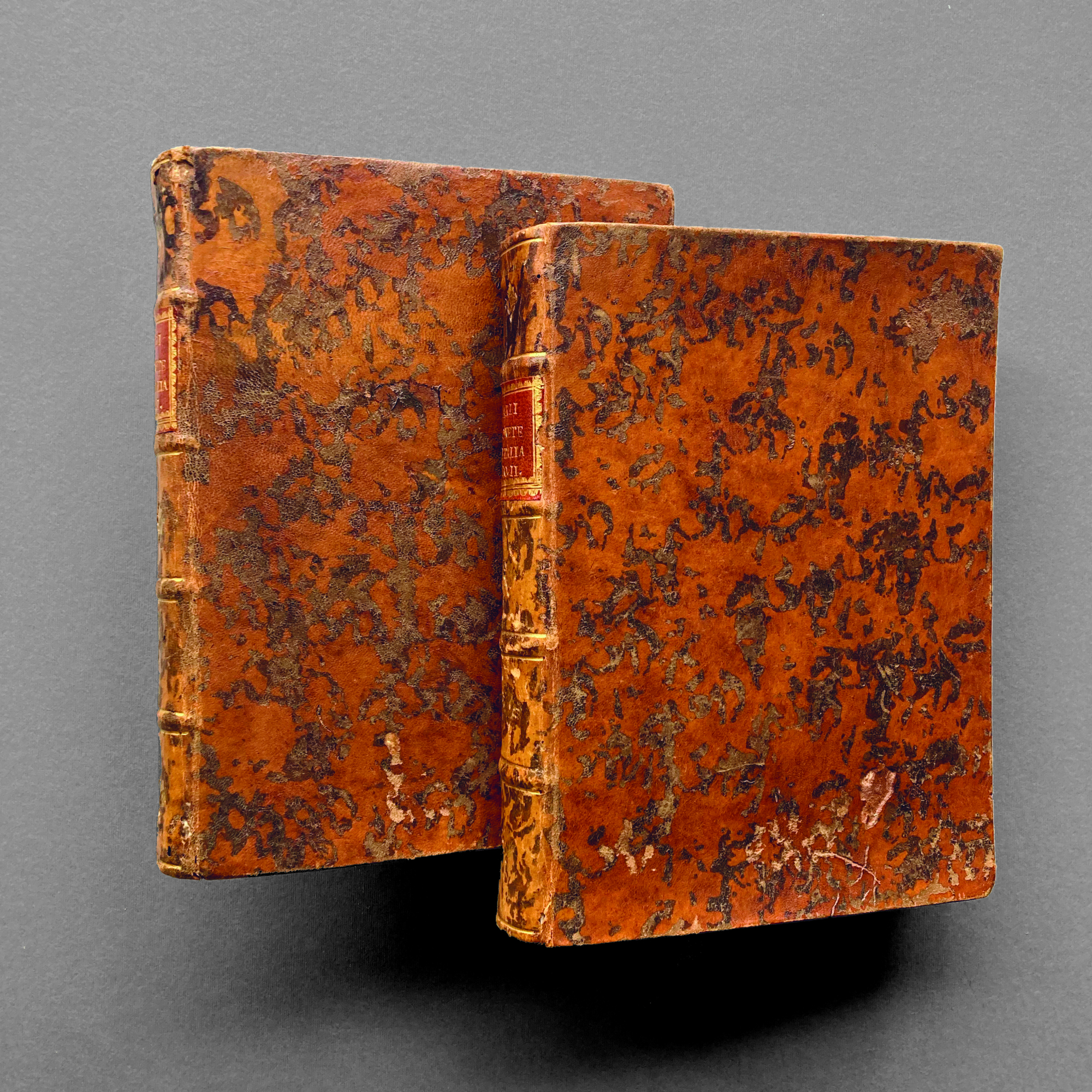 Delle monete e dell'instituzione delle zecche d'Italia dell'antico, e presente …