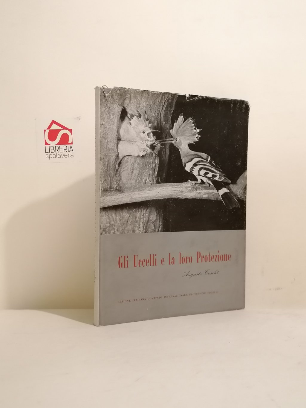 Gli uccelli e la loro protezione