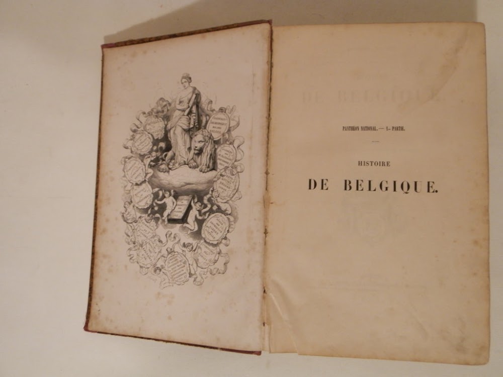 Histoire de Belgique, illustrée par l'élite des artistes belges