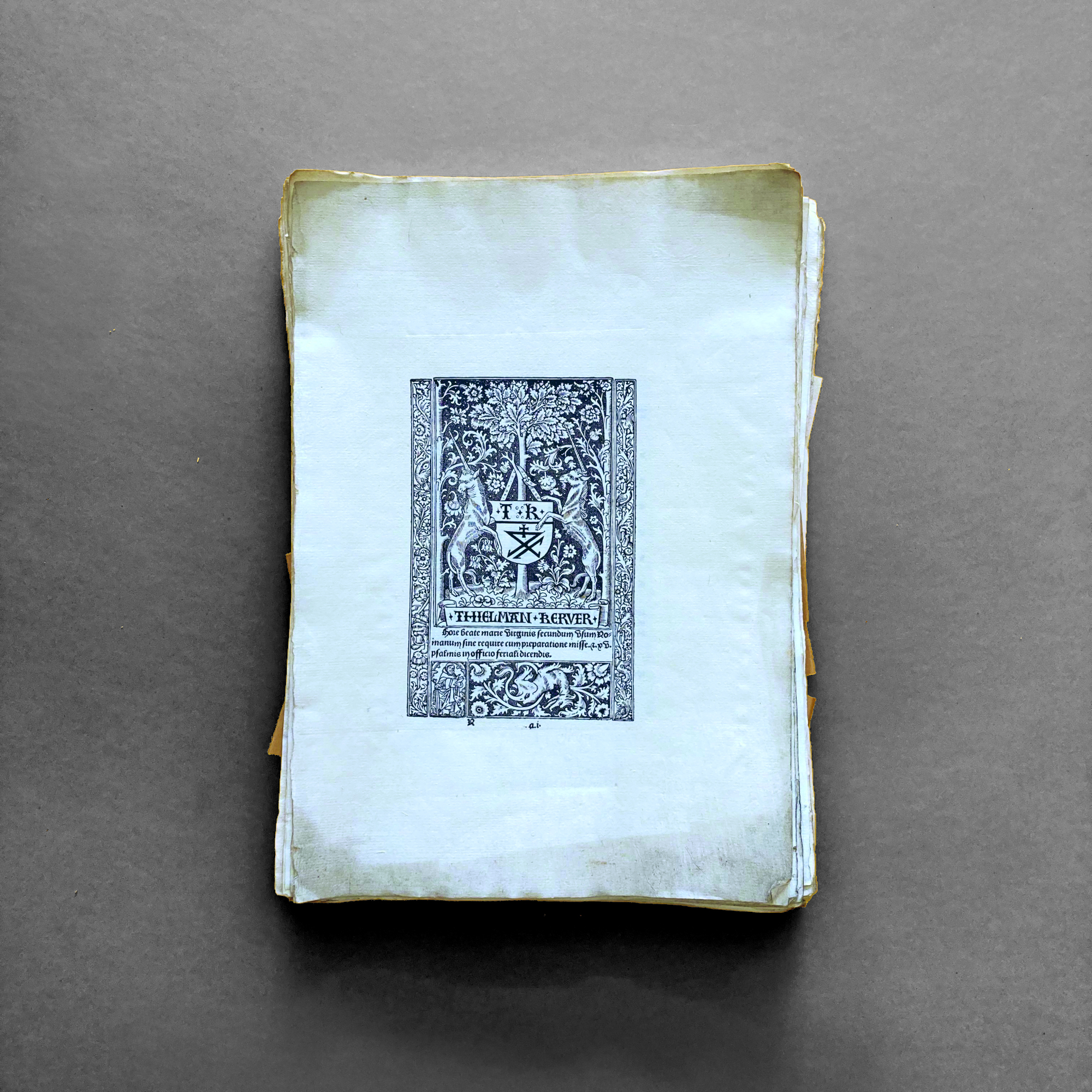 Hore beate Marie virginis secundum usum Romanum sine require cum …