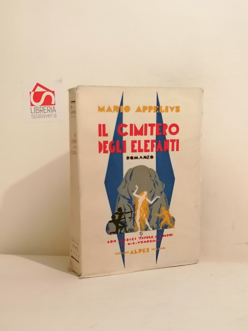 Il cimitero degli elefanti : romanzo