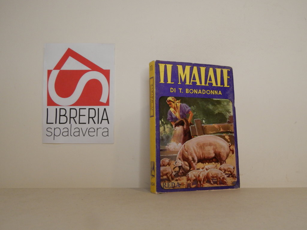 Il maiale