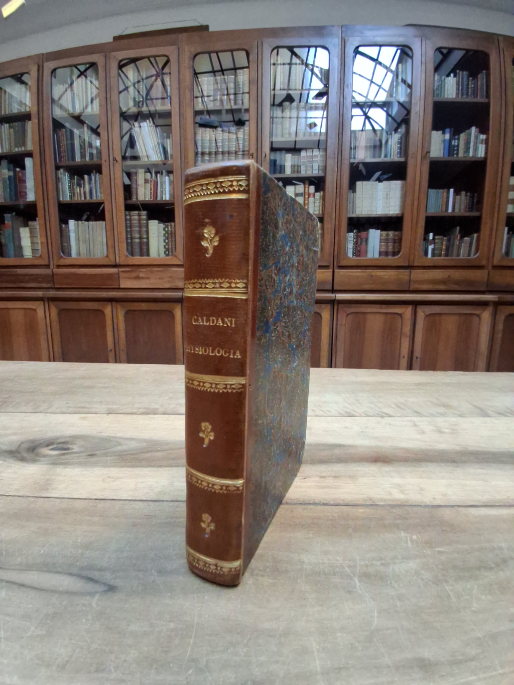 Institutiones Physiologicae Auctore L. M. A. Caldanio