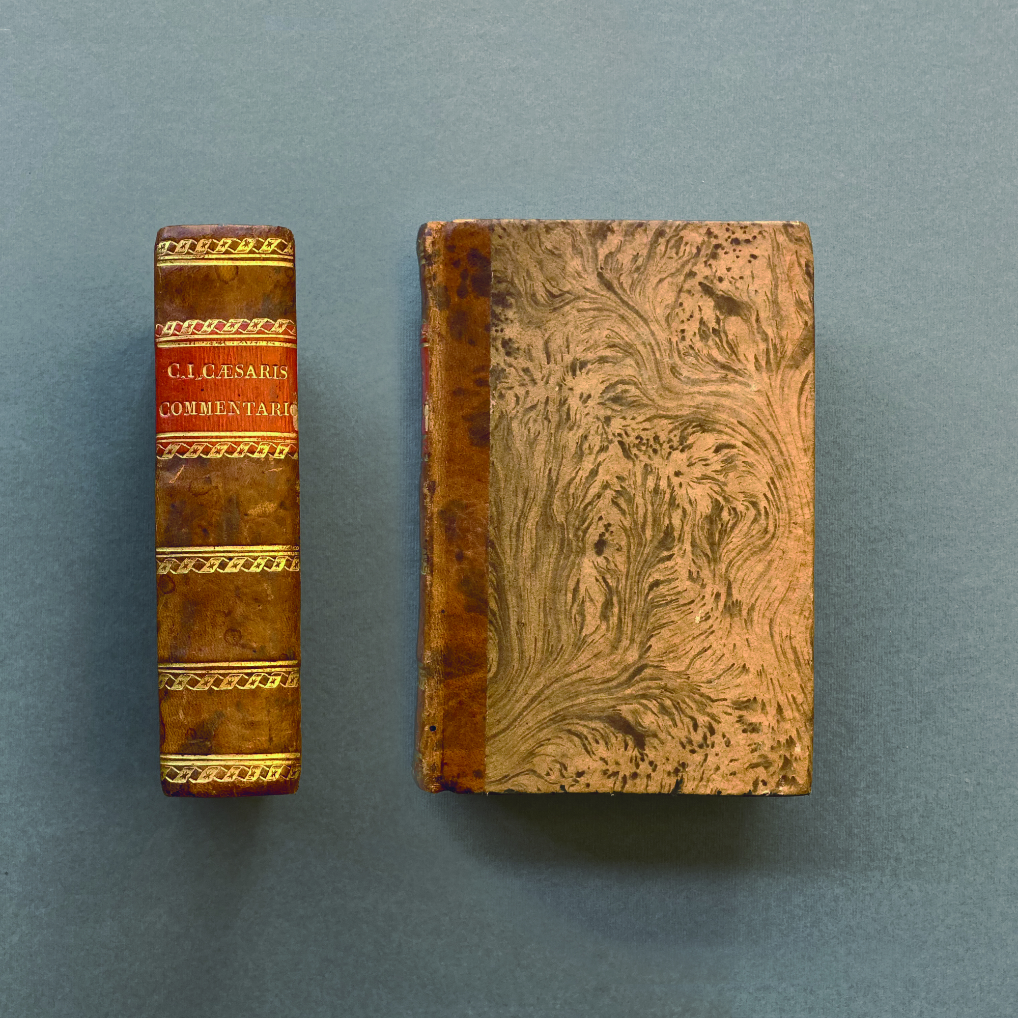 Iulij Caesaris Commentariorum de bello Gallico libri 8.