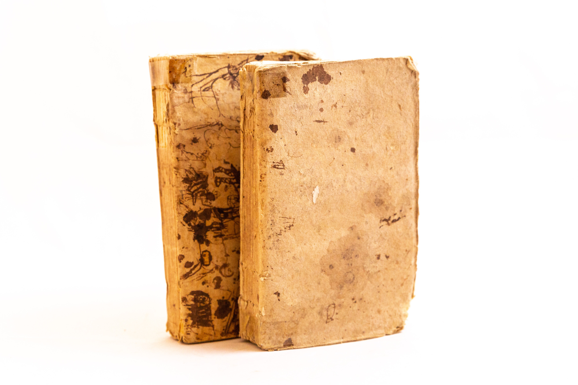 L'osservatore delle Belle arti in Roma ossia Esame analitico de' …