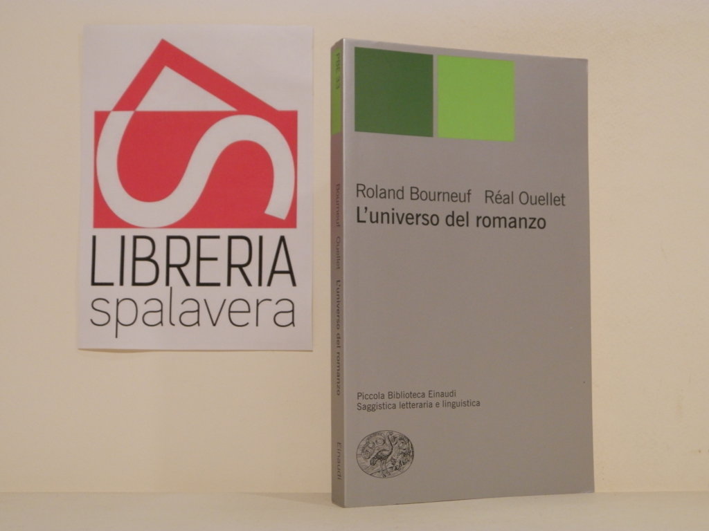 L'universo del romanzo