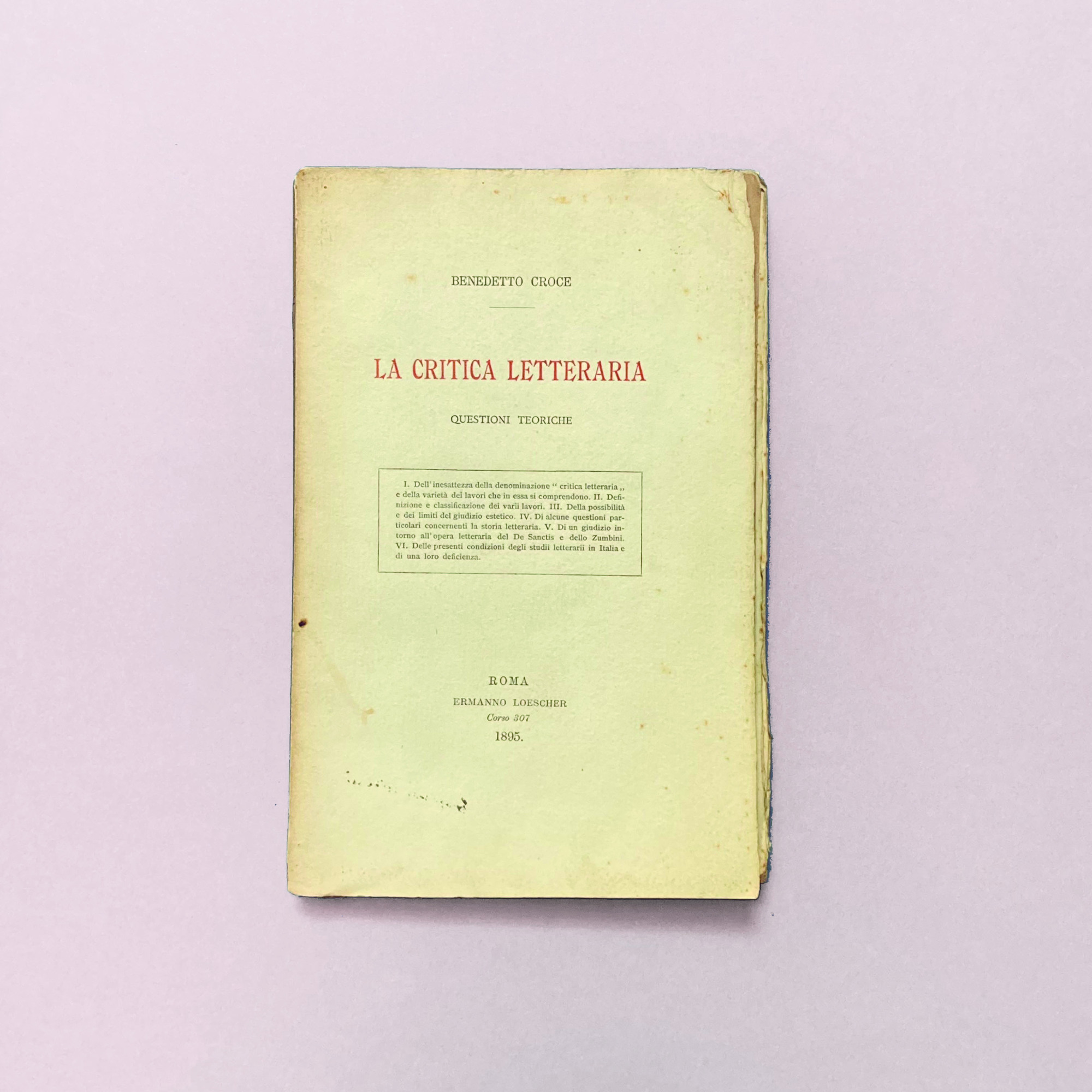 La Critica Letteraria: Questioni Teoriche