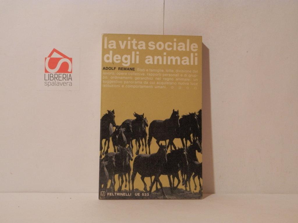 La vita sociale degli animali