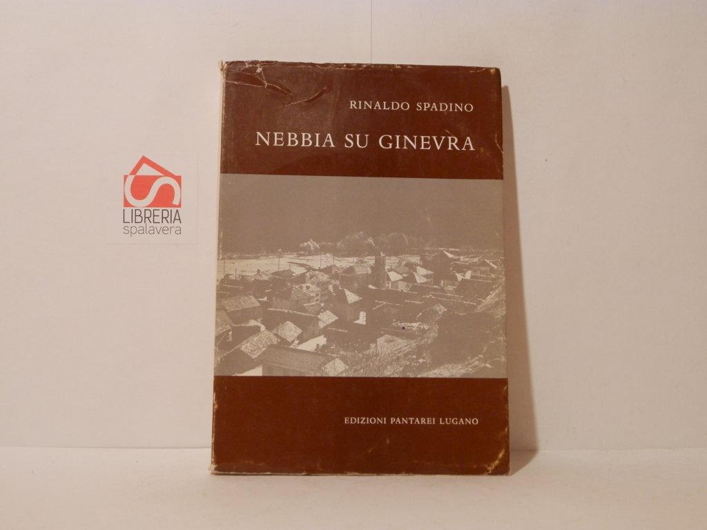 Nebbia su Ginevra