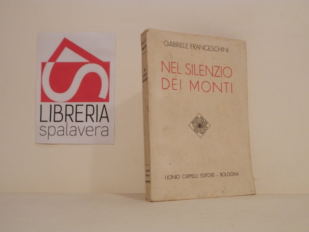 Nel silenzio dei Monti : racconti di una guida alpina