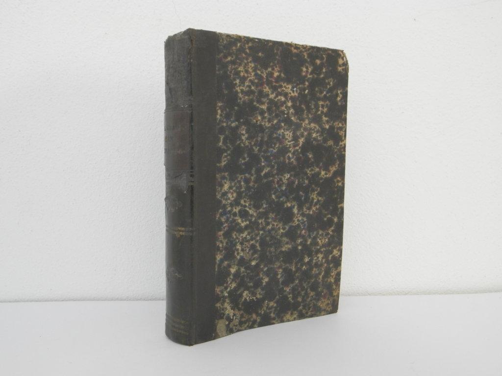 Peregrinazione al Gran San Bernardo, Losanna, Friburgo, Ginevra con una …