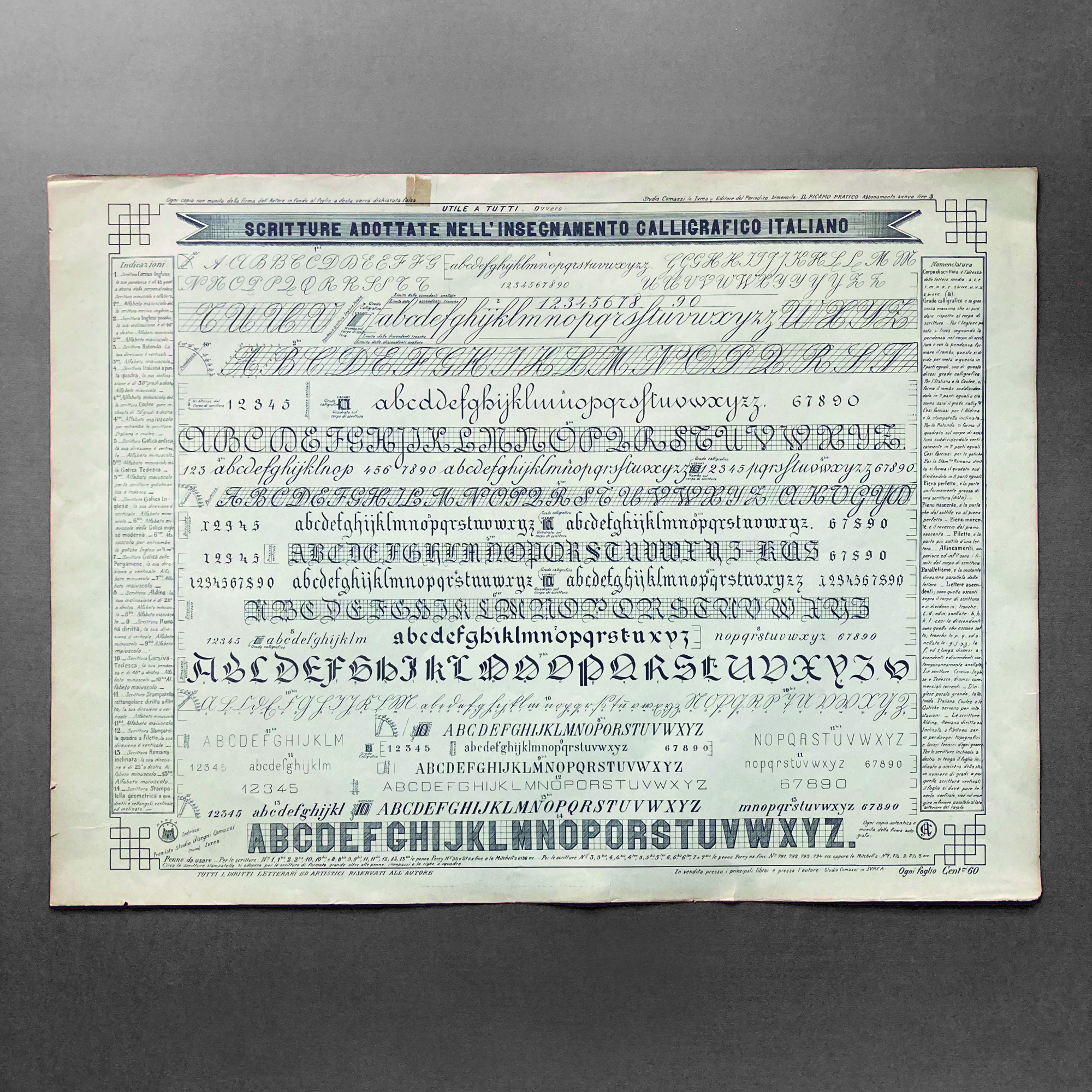 Scritture adottate nell'insegnamento calligrafico italiano.