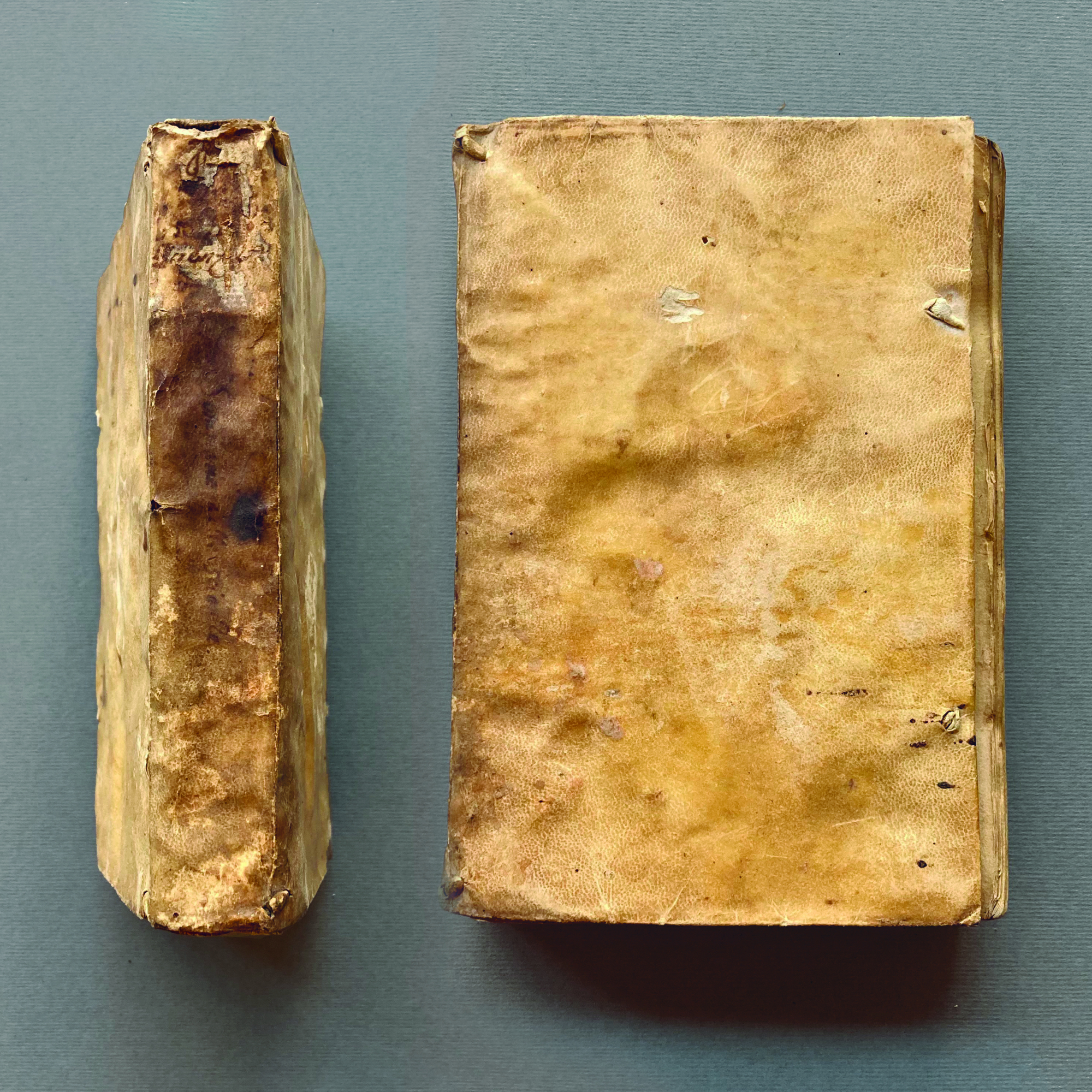 Sommario di tutte le scienze del magnifico messer Domenico Delfino, …