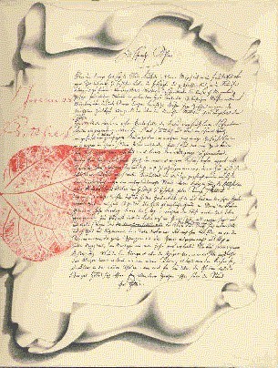 Die schwarze Spinne.