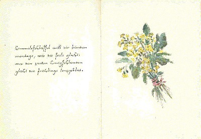 Sieben Sträusse von Friedrich Schnack. Aquarelle von Elsbeth Schneidler-Schwarz.