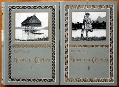Reisen in Celebes, ausgeführt in den Jahren 1893-1896 und 1902-1903.