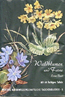 Unsere Waldblumen und Farngewächse. Erster Band.