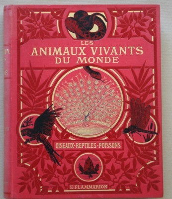 Les animaux vivants du monde. Oiseaux - poissons - reptiles, …