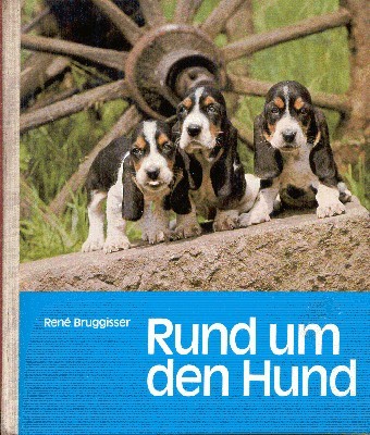 Rund um den Hund.