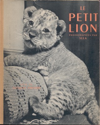 Le petit lion. Photographies par Ylla. Texte de Jacques Prévert.