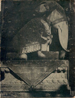 Der Elefantengesang.