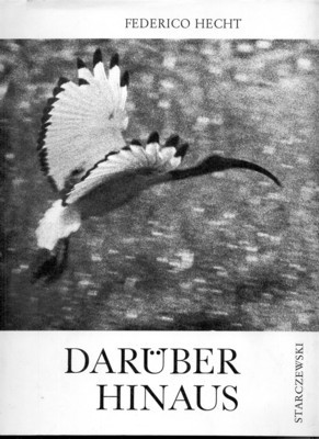 Darüber hinaus. Text: Marta Traba, Bogotá. Aus dem Spanischen übersetzt: …