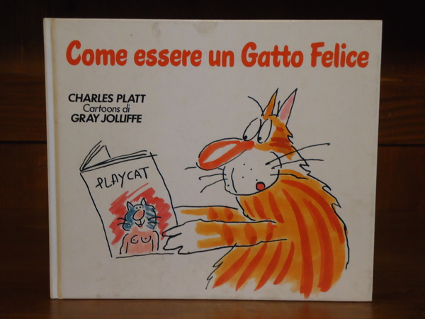 COME ESSERE UN GATTO FELICE
