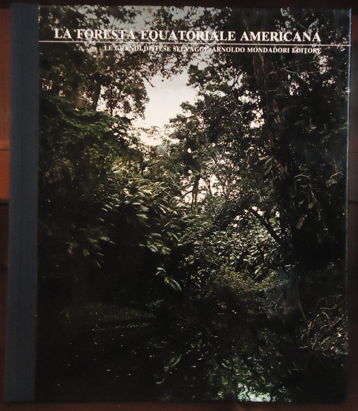 La foresta equatoriale americana