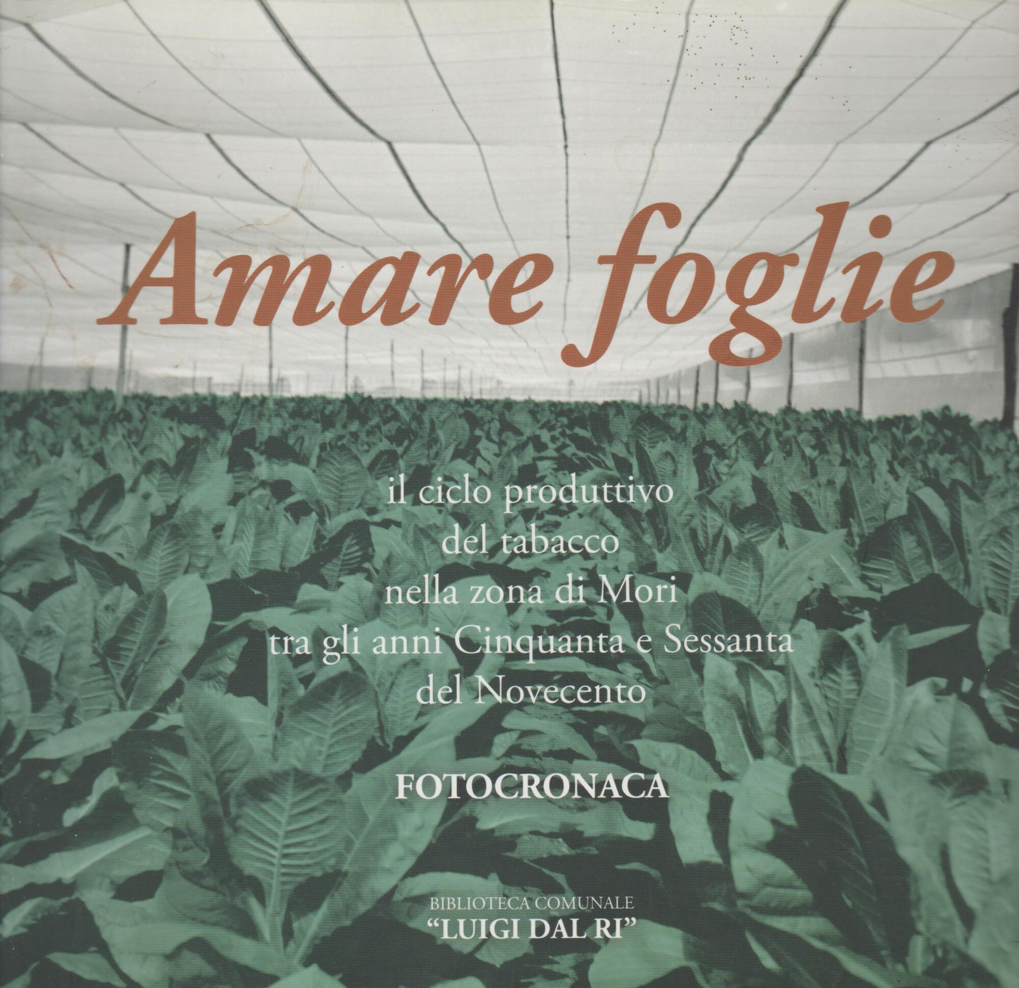 AMARE FOGLIE la produzione del tabacco a MORI tra '50 …