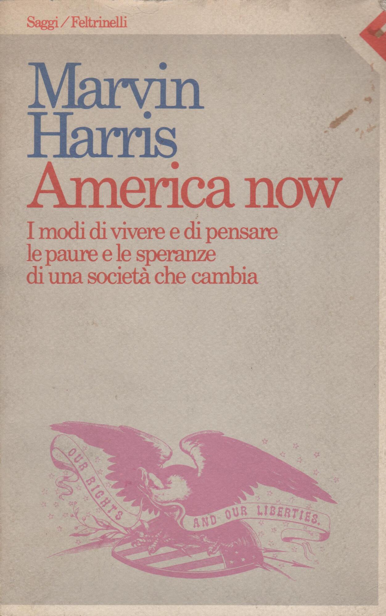 America now. I modi di vivere e di pensare, le …