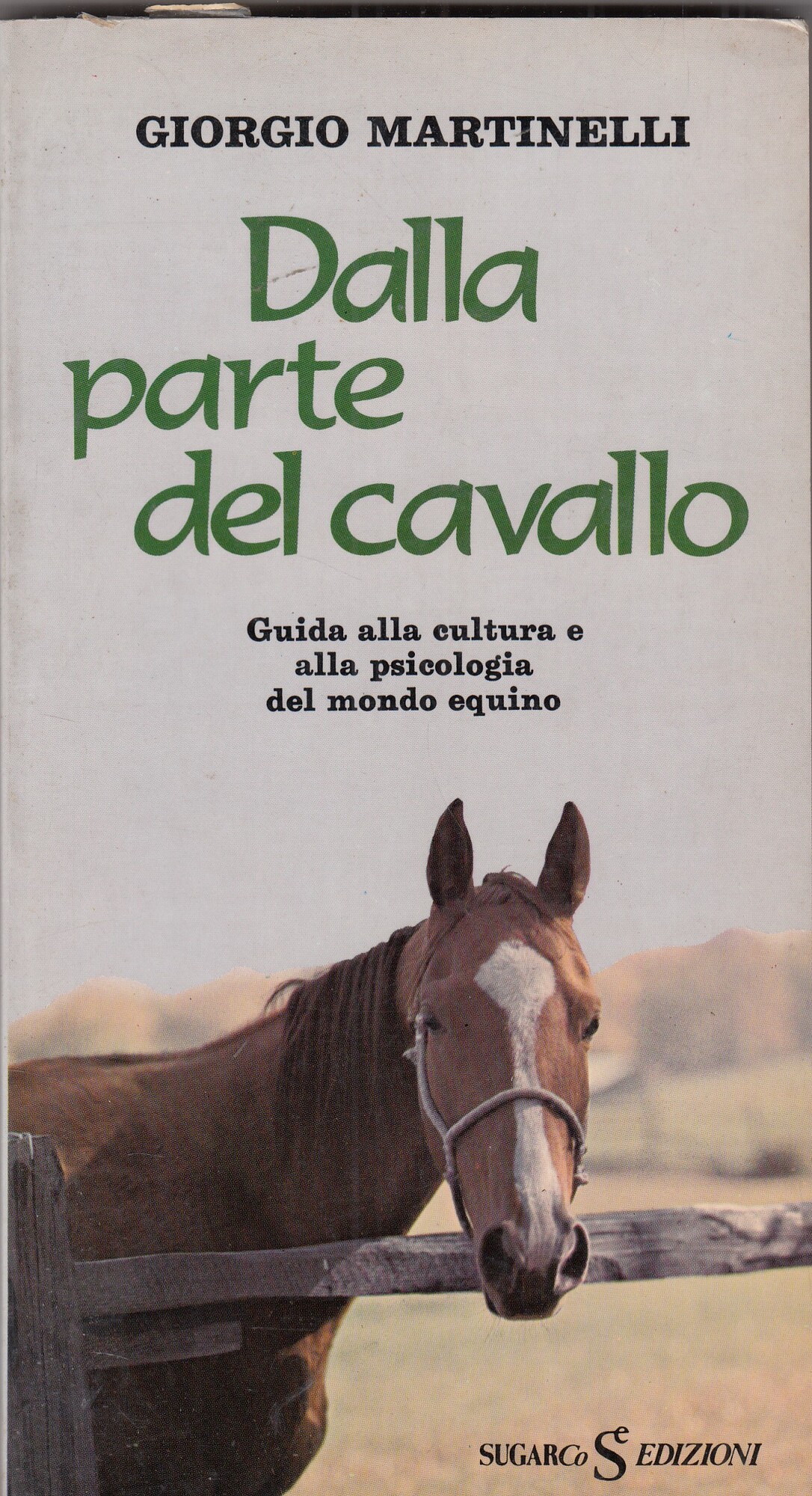 Dalla parte del cavallo