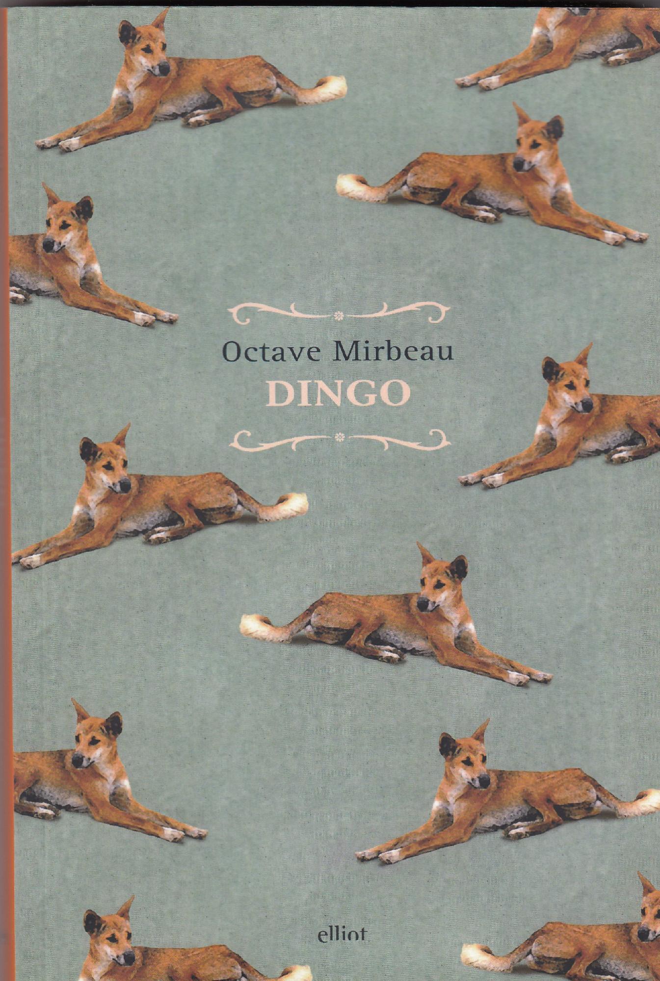 Dingo