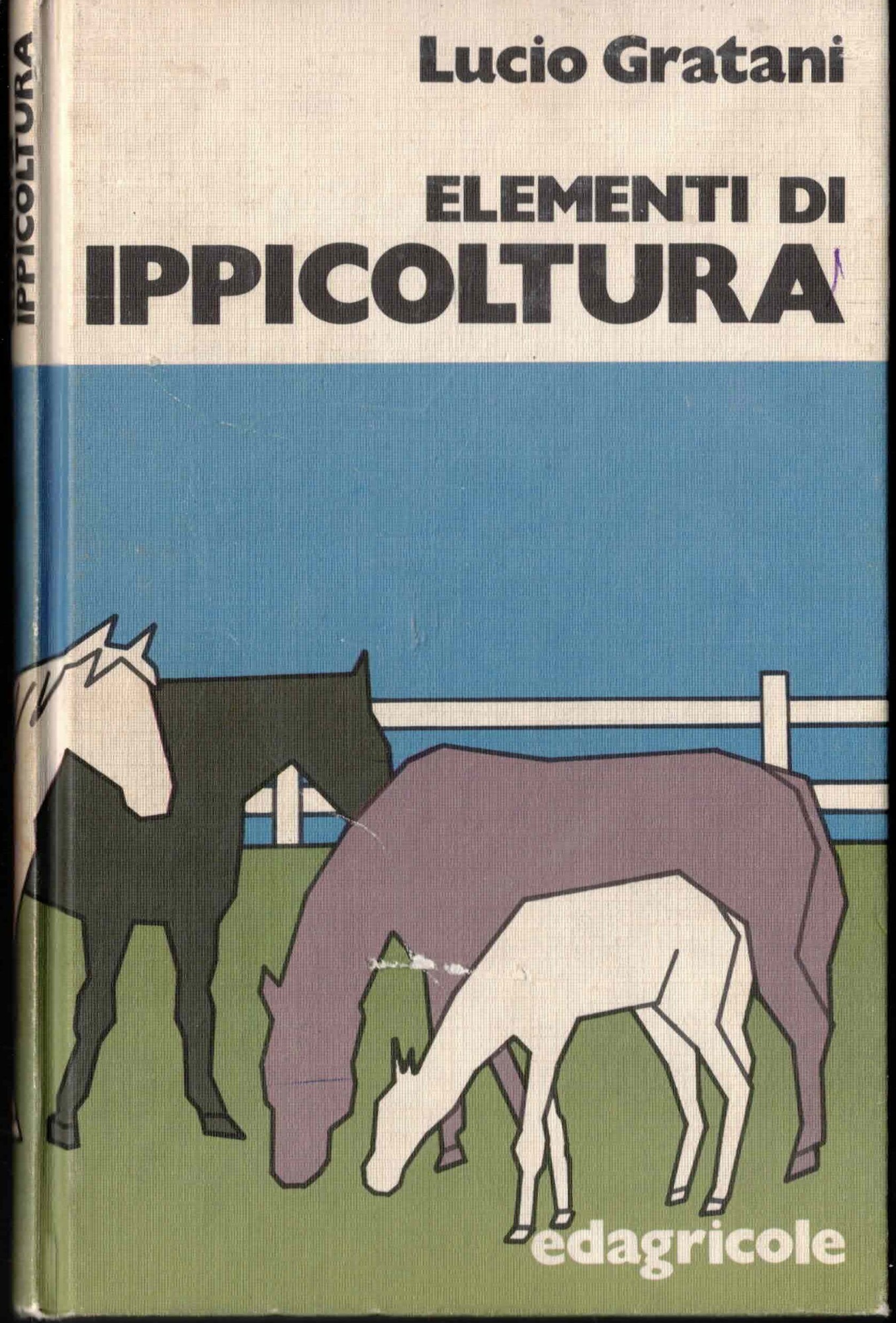 Elementi di ippicoltura