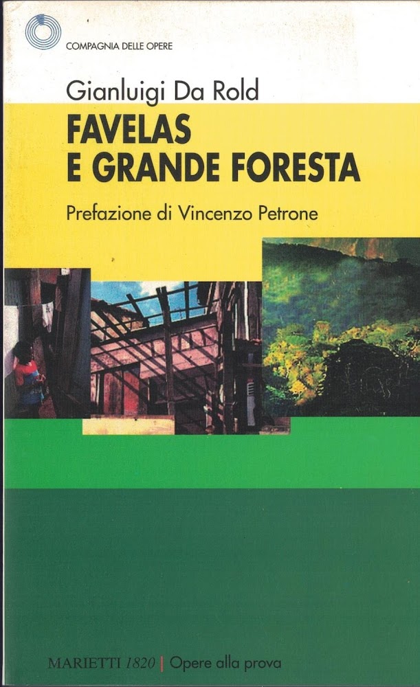 Favelas e grande foresta