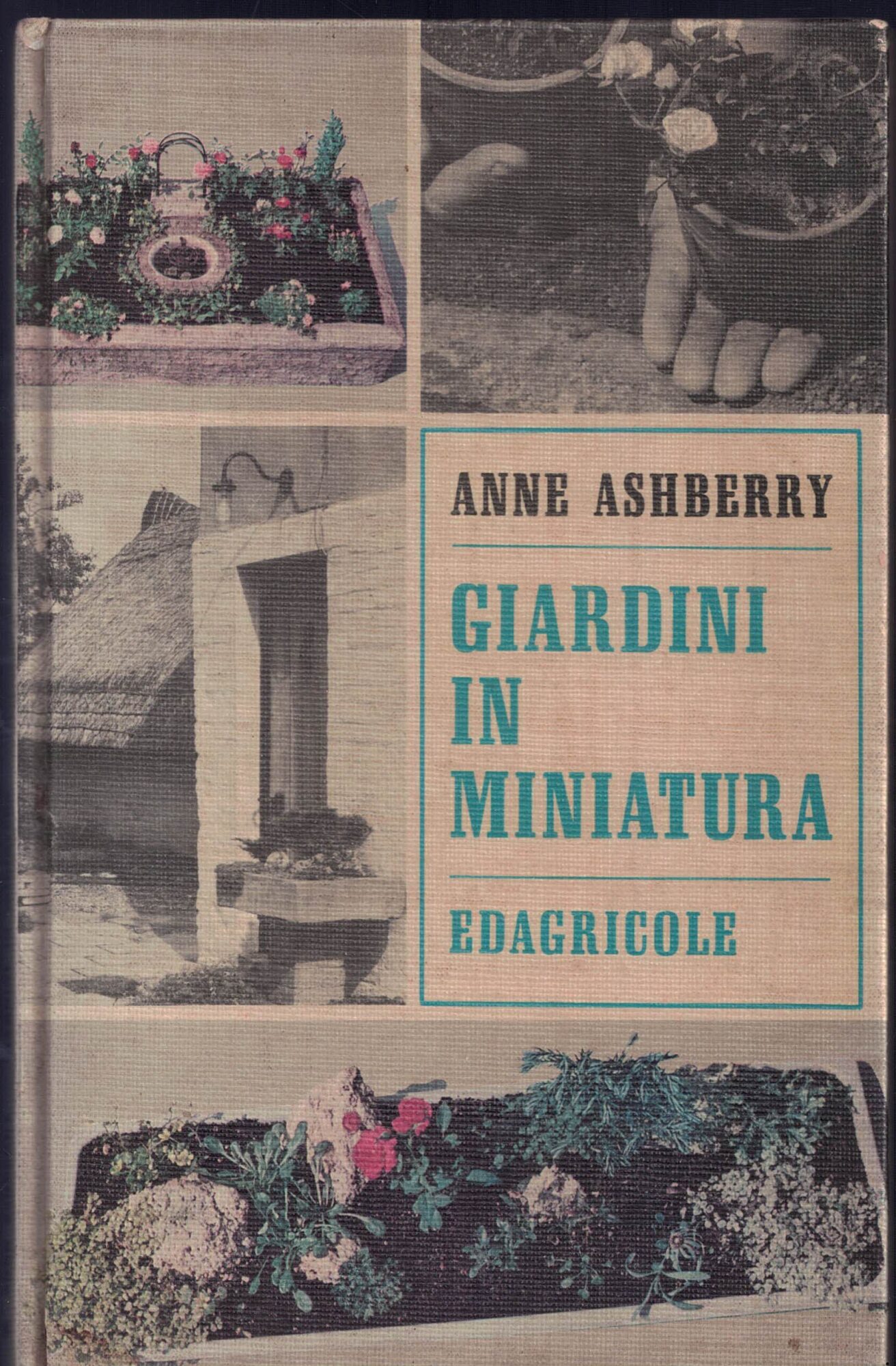 Giardini in miniatura