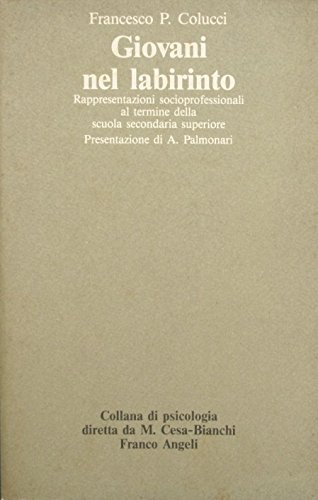 Giovani nel labirinto. Rappresentazioni socioprofessionali al termine della secondaria superiore