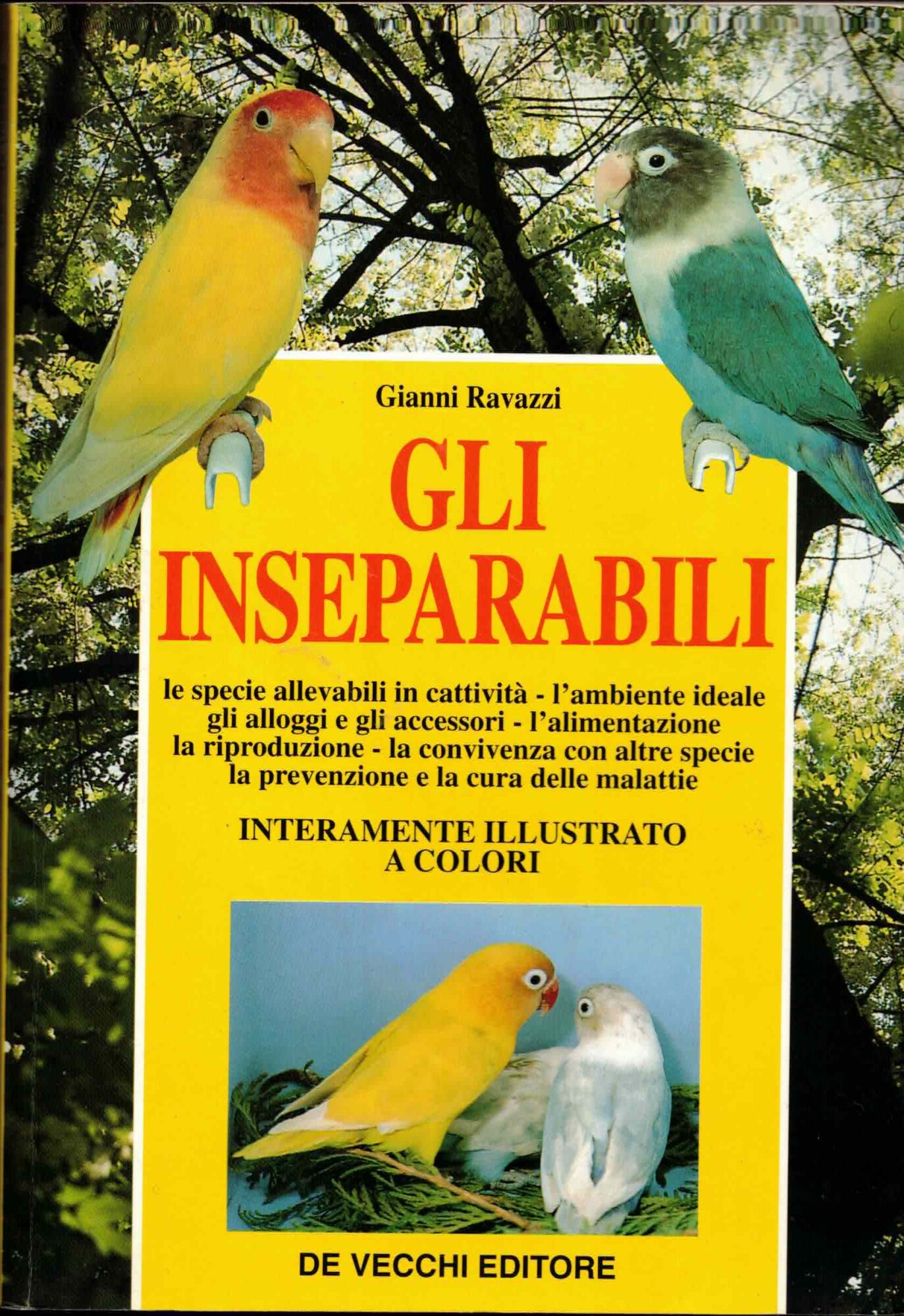 Guida agli inseparabili