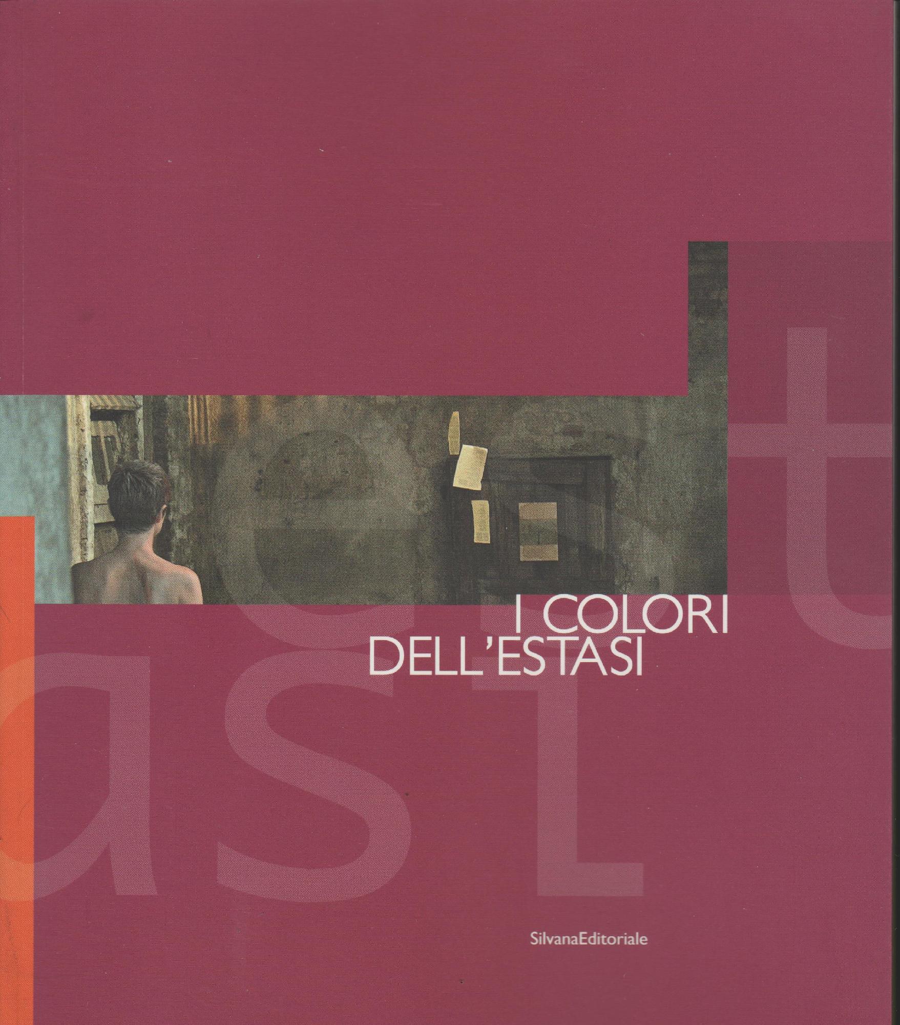 I colori dell'estasi : percorsi d'arte contemporanea