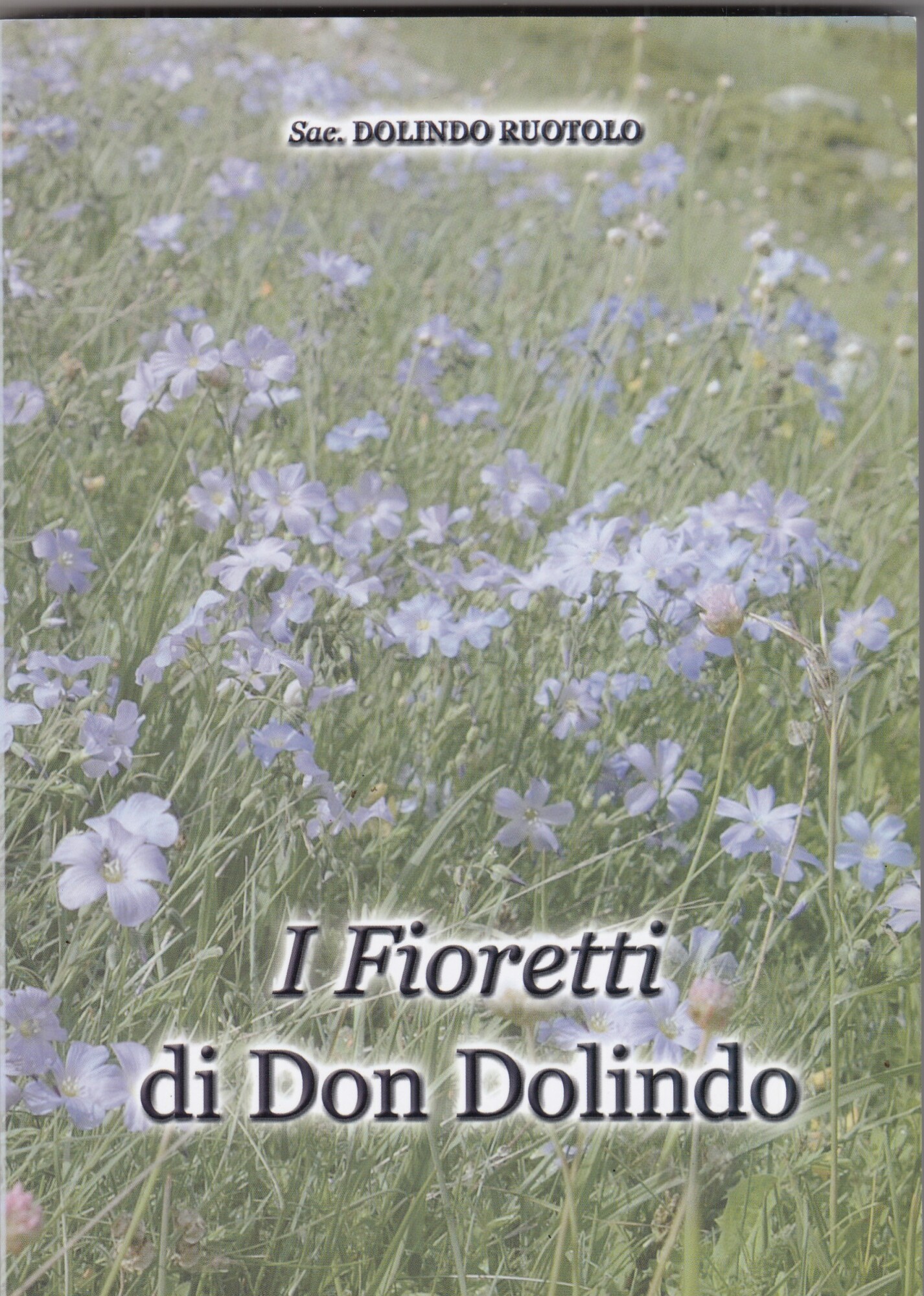 I fioretti di Don Dolindo