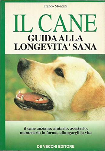 Il cane: guida alla longevità sana
