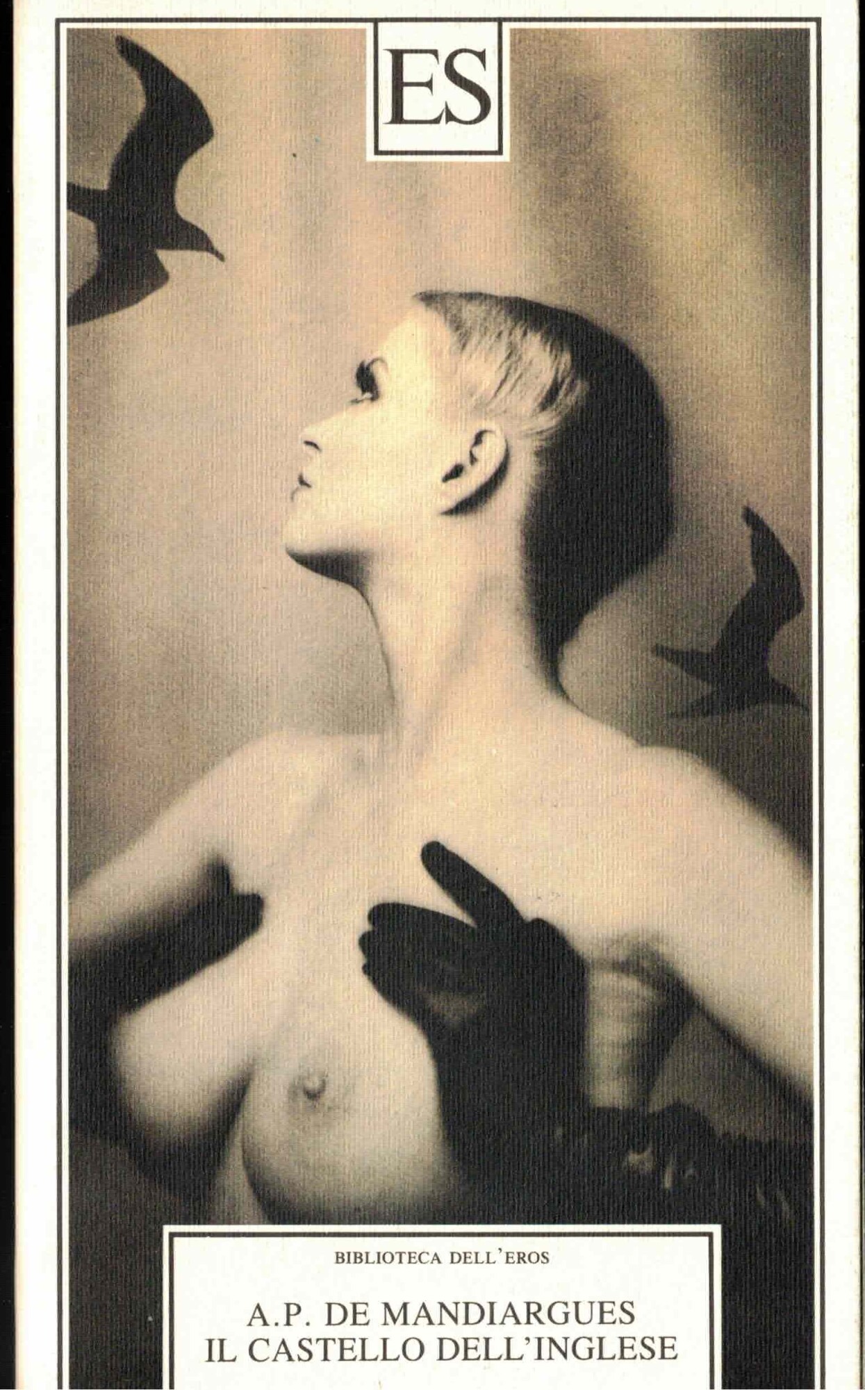 Il castello dell'inglese