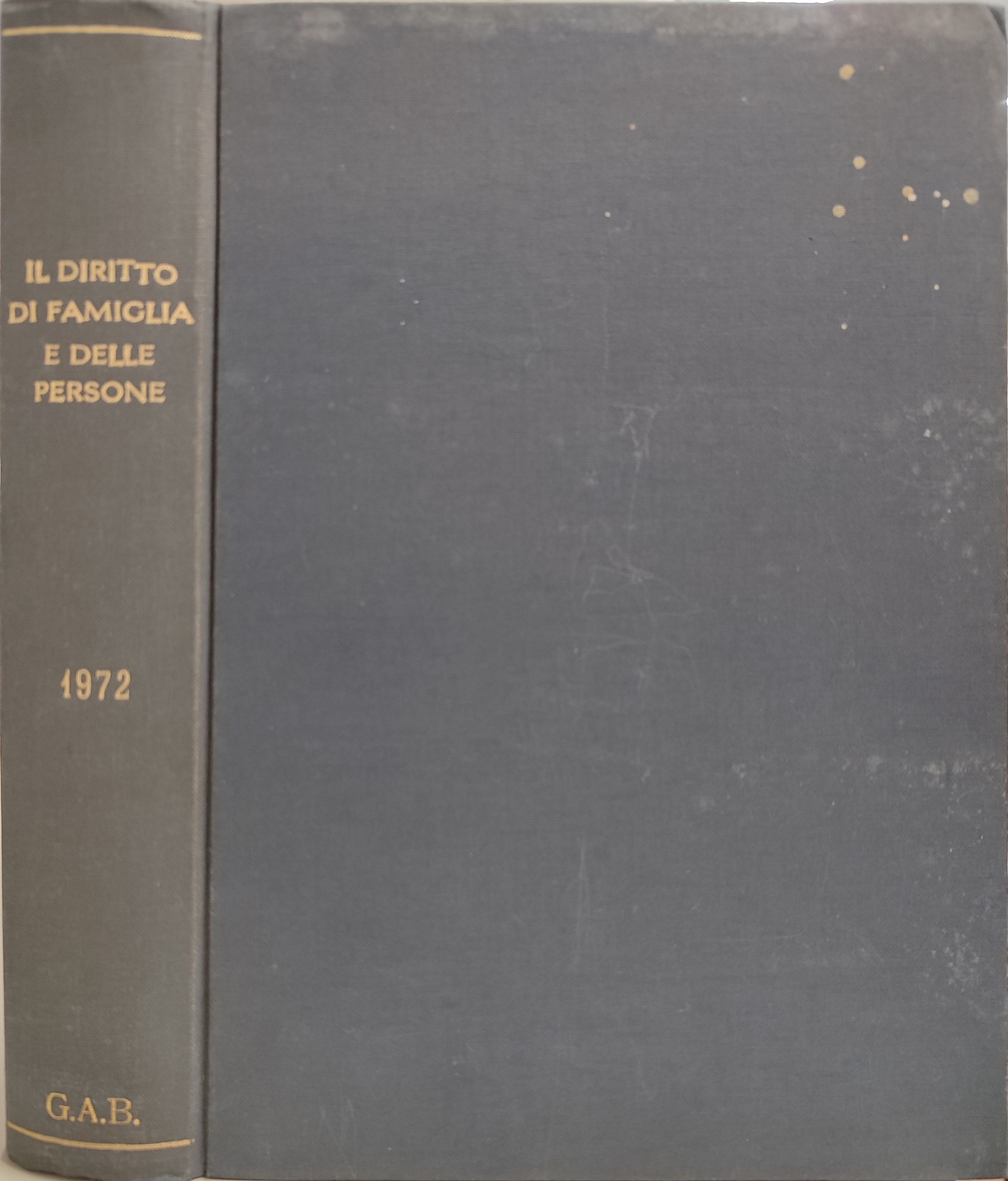 Il diritto di famiglia e delle persone. Anno I- 1972